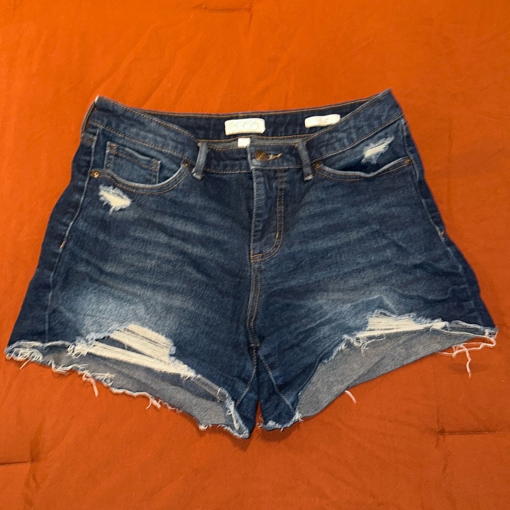 Sophia Vergara Denim Distressed Shorts